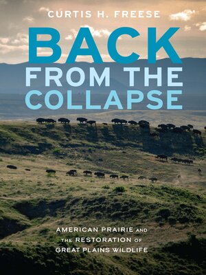 cover image of Back from the Collapse